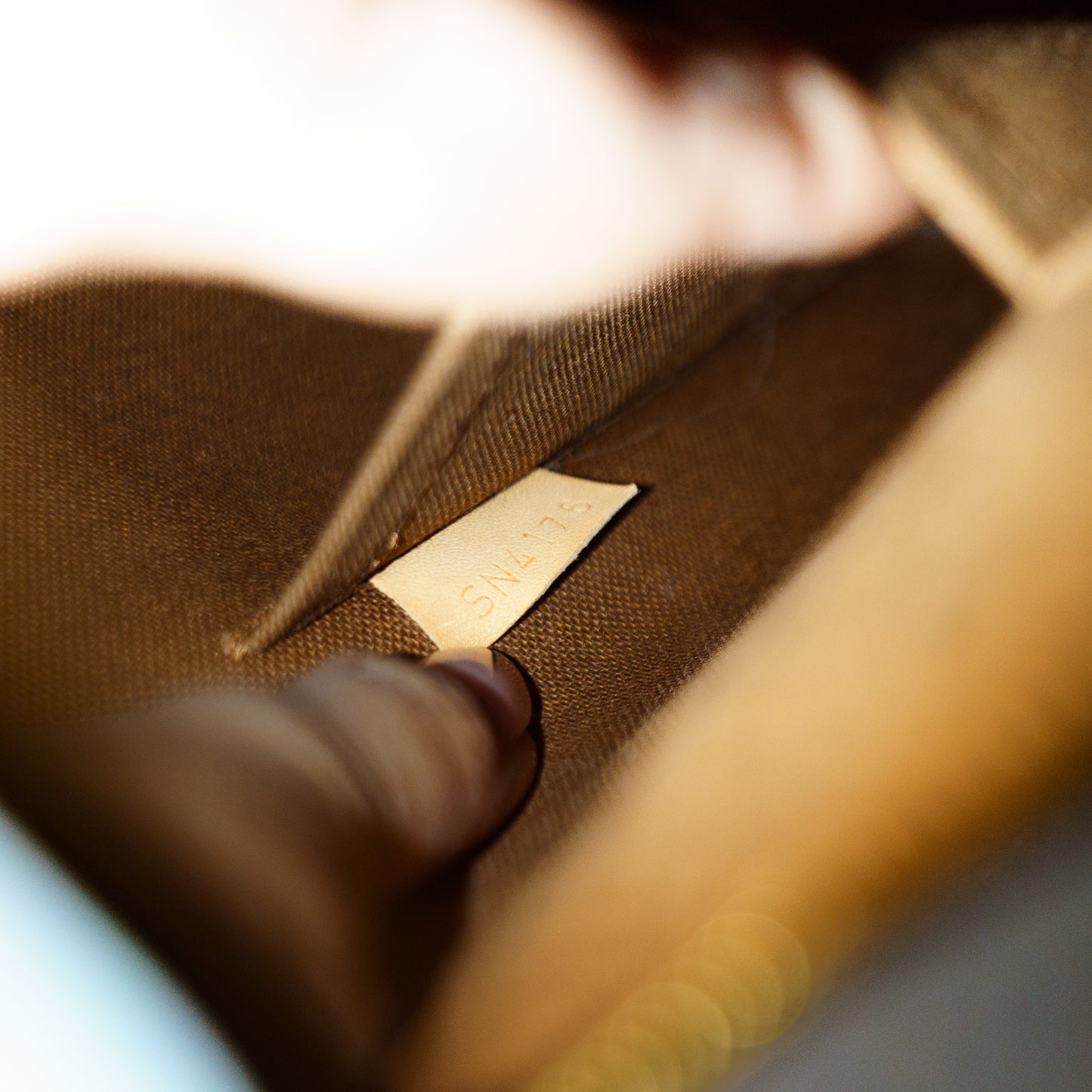 Louis Vuitton Alma PM in Monogram Canvas 201125B02