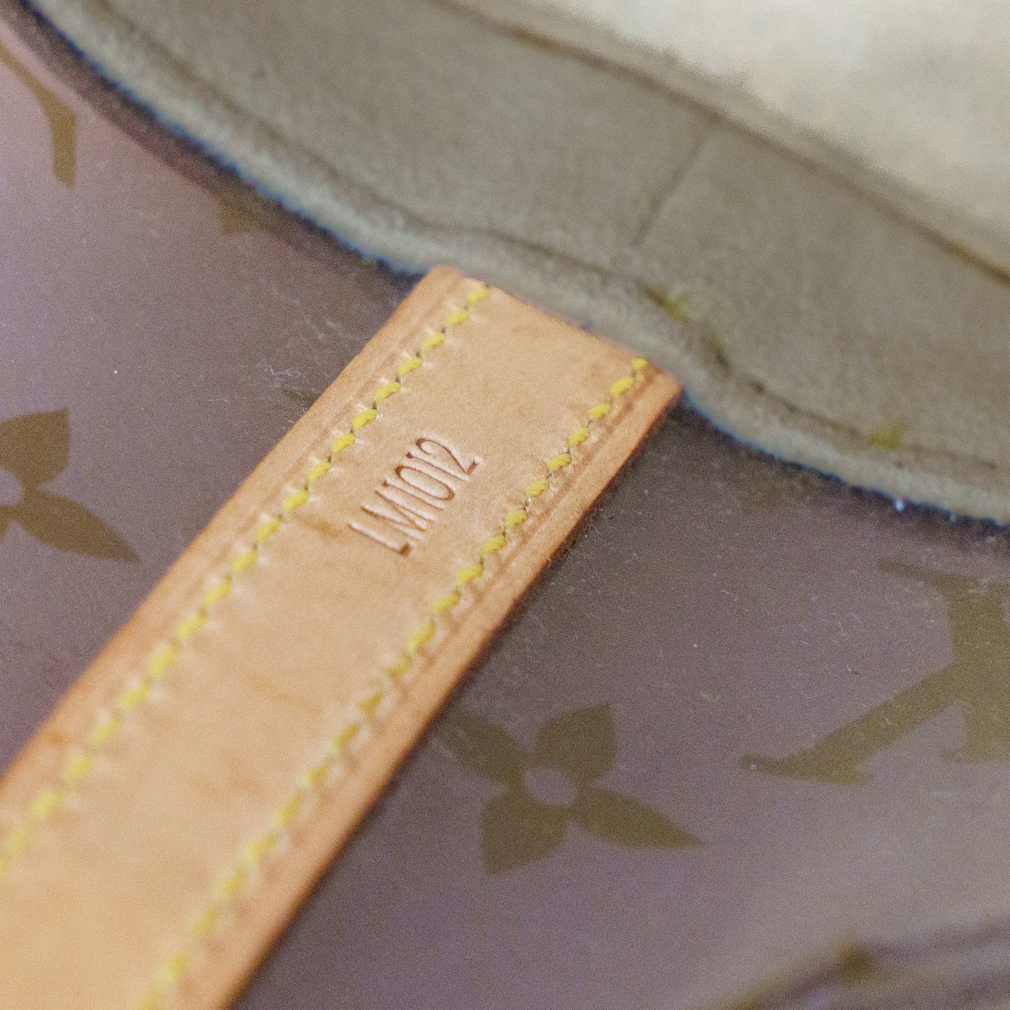 Louis Vuitton Ambre PM Limited Edition 050226X05