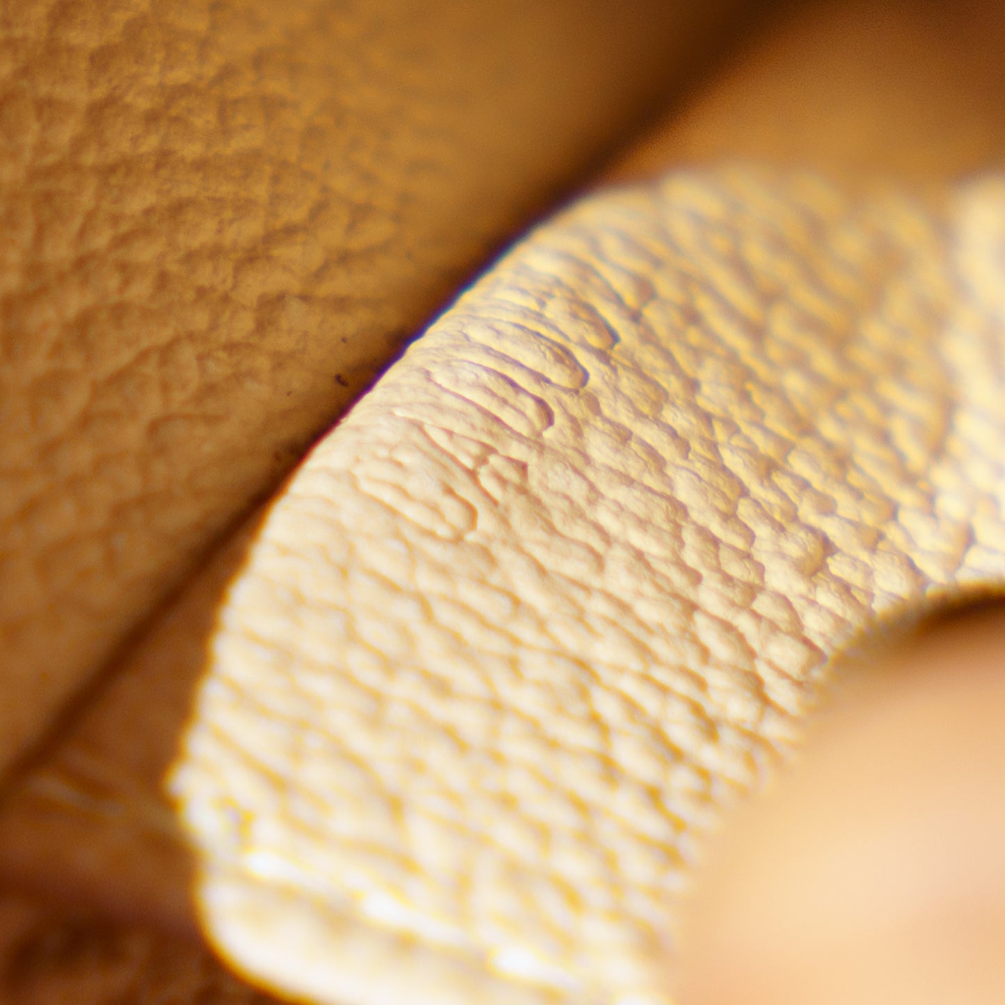 Louis Vuitton Cosmetic Pouch in Monogram Canvas 221025B159