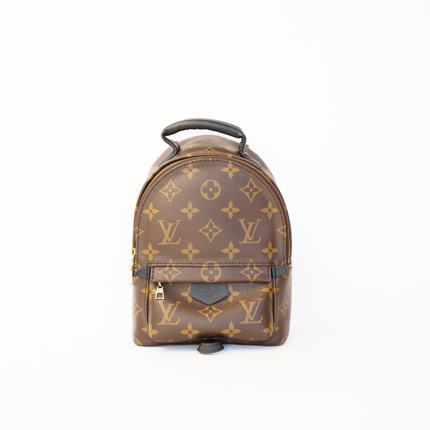 Louis Vuitton Palm Springs Mini Backpack