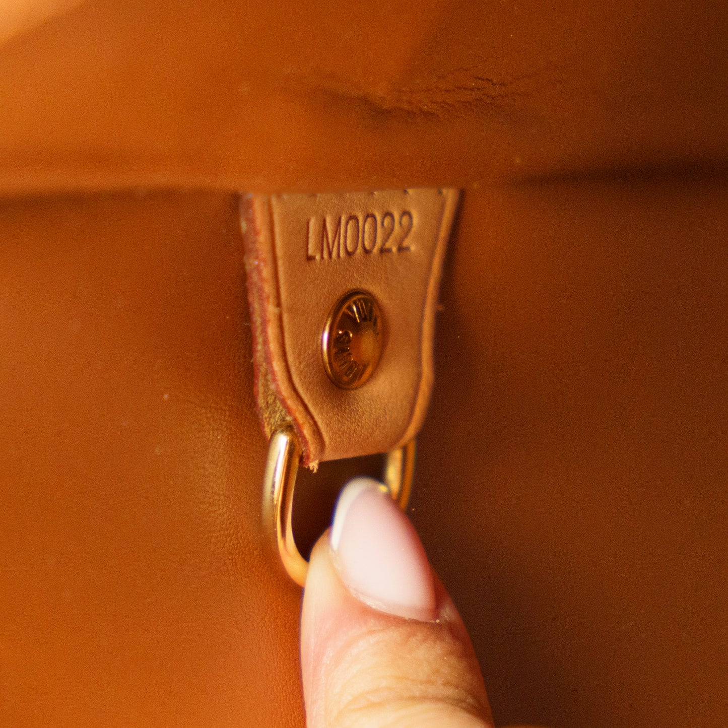 Louis Vuitton Houston Bronze Vernis Bag 300426B27