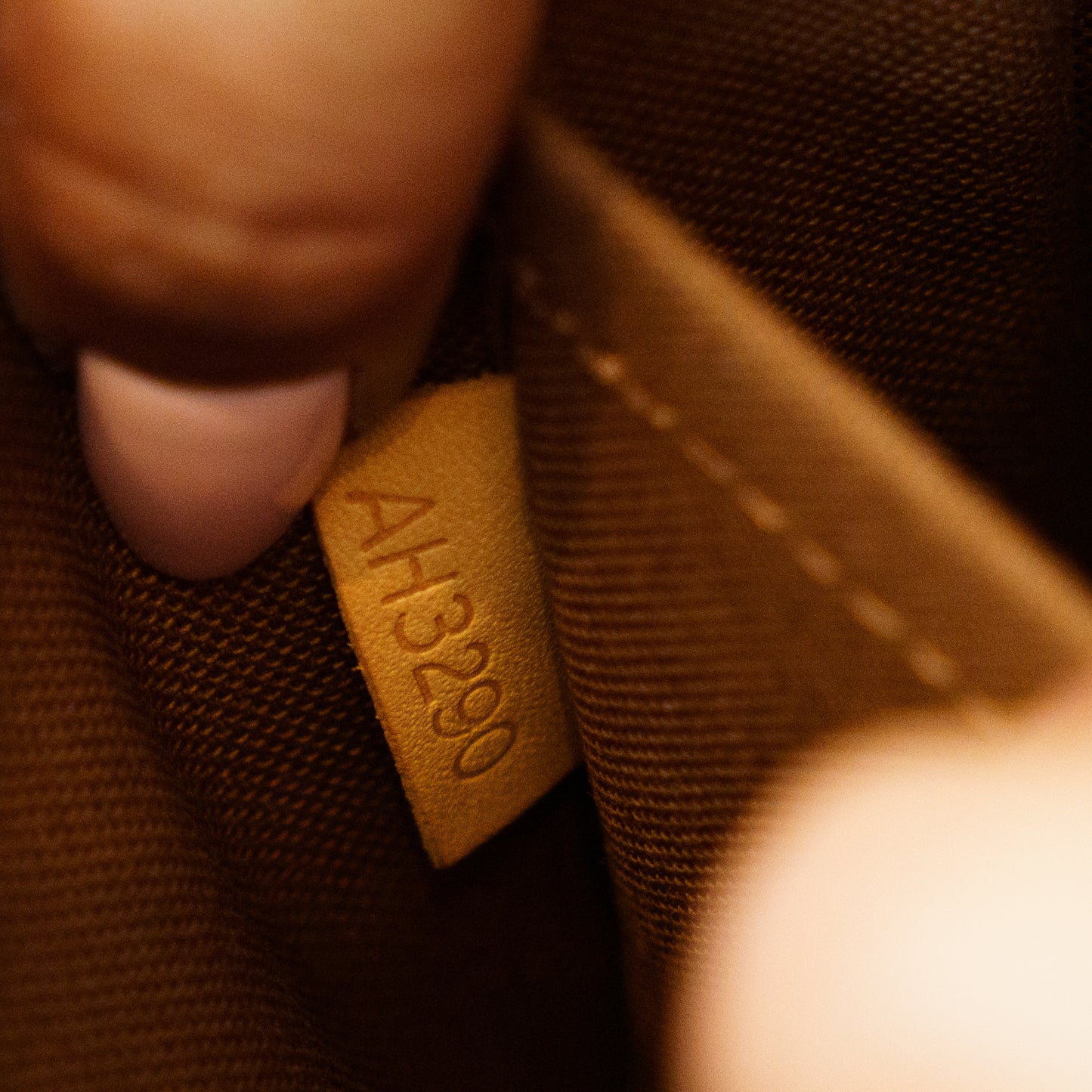 Louis Vuitton 2020 Pochette Accessoires In Monogram Canvas AH3290