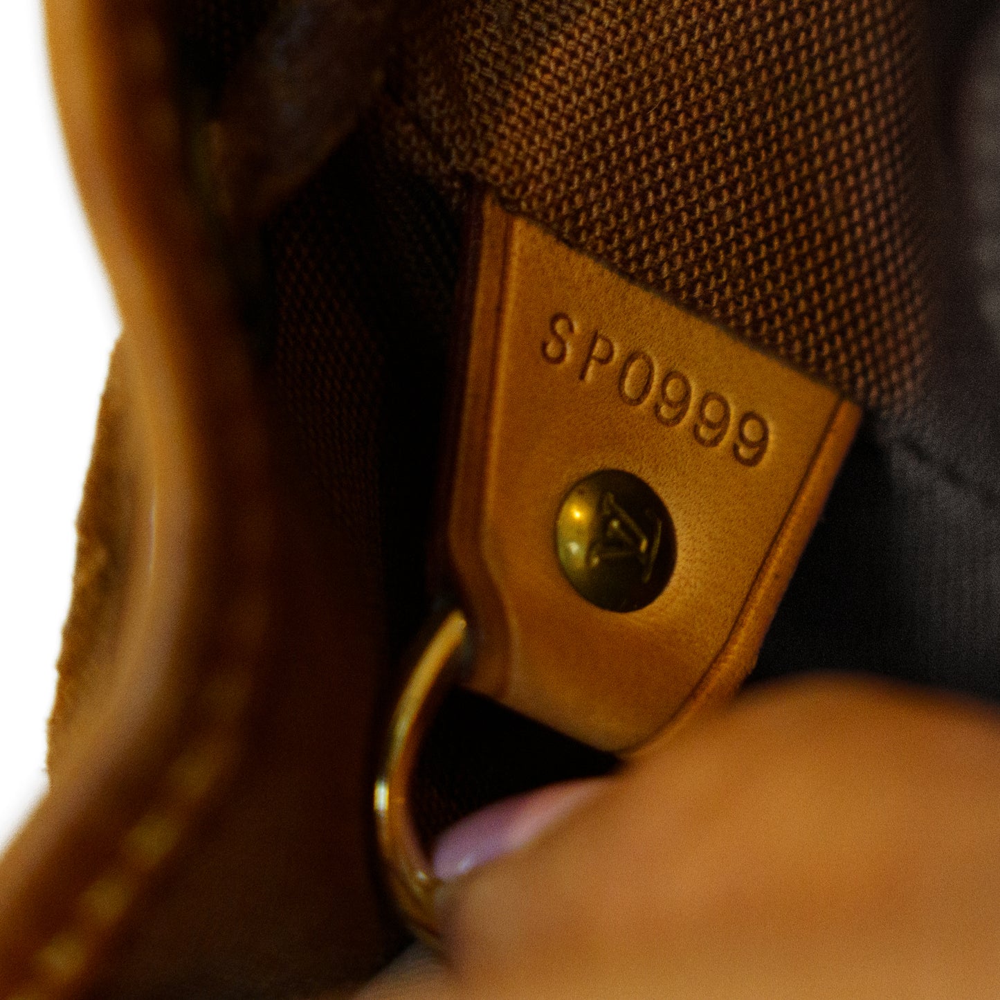 Louis Vuitton Montsouris MM Backpack in Monogram Canvas 271125B28