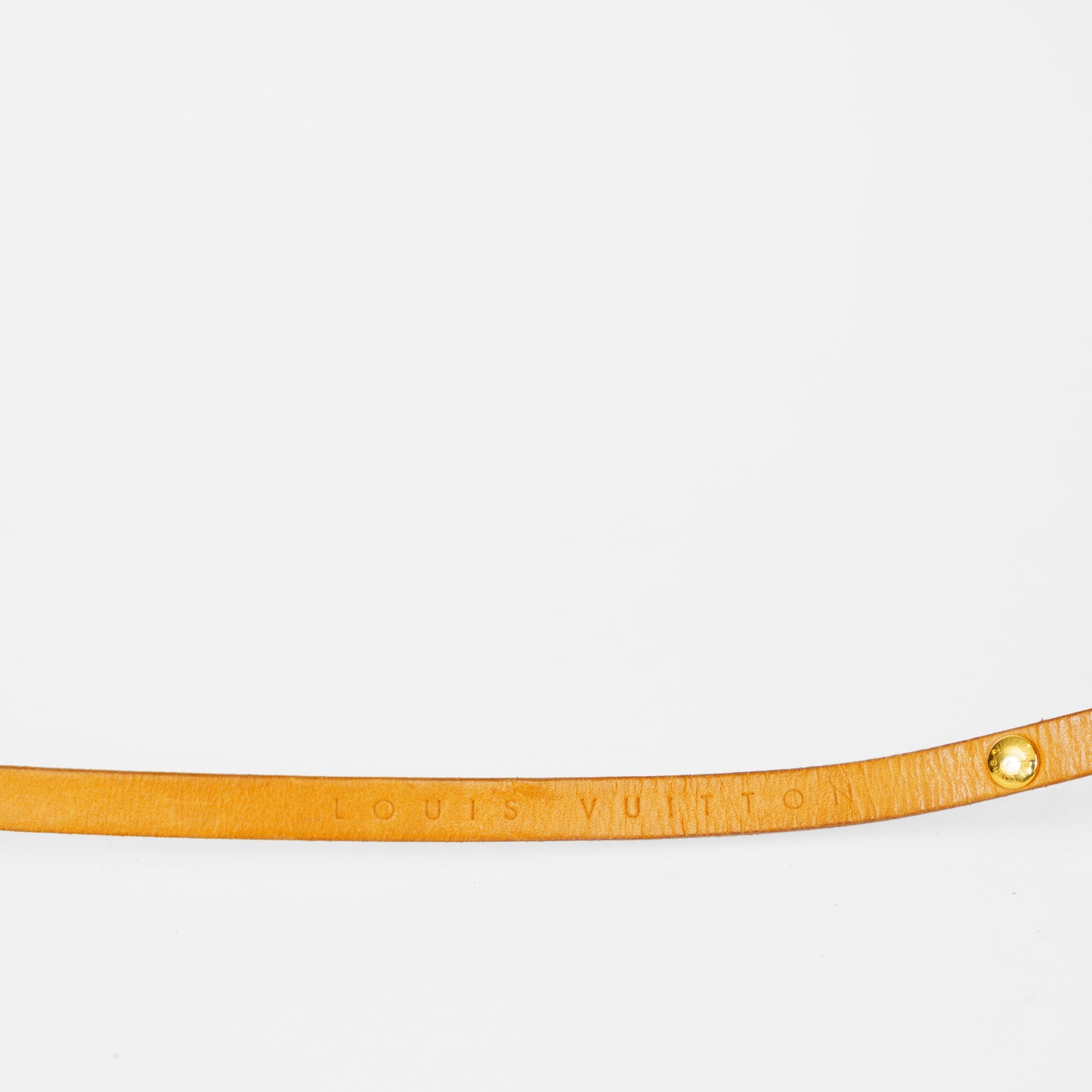 Louis Vuitton Florentine Pochette in Monogram Canvas 061125B12