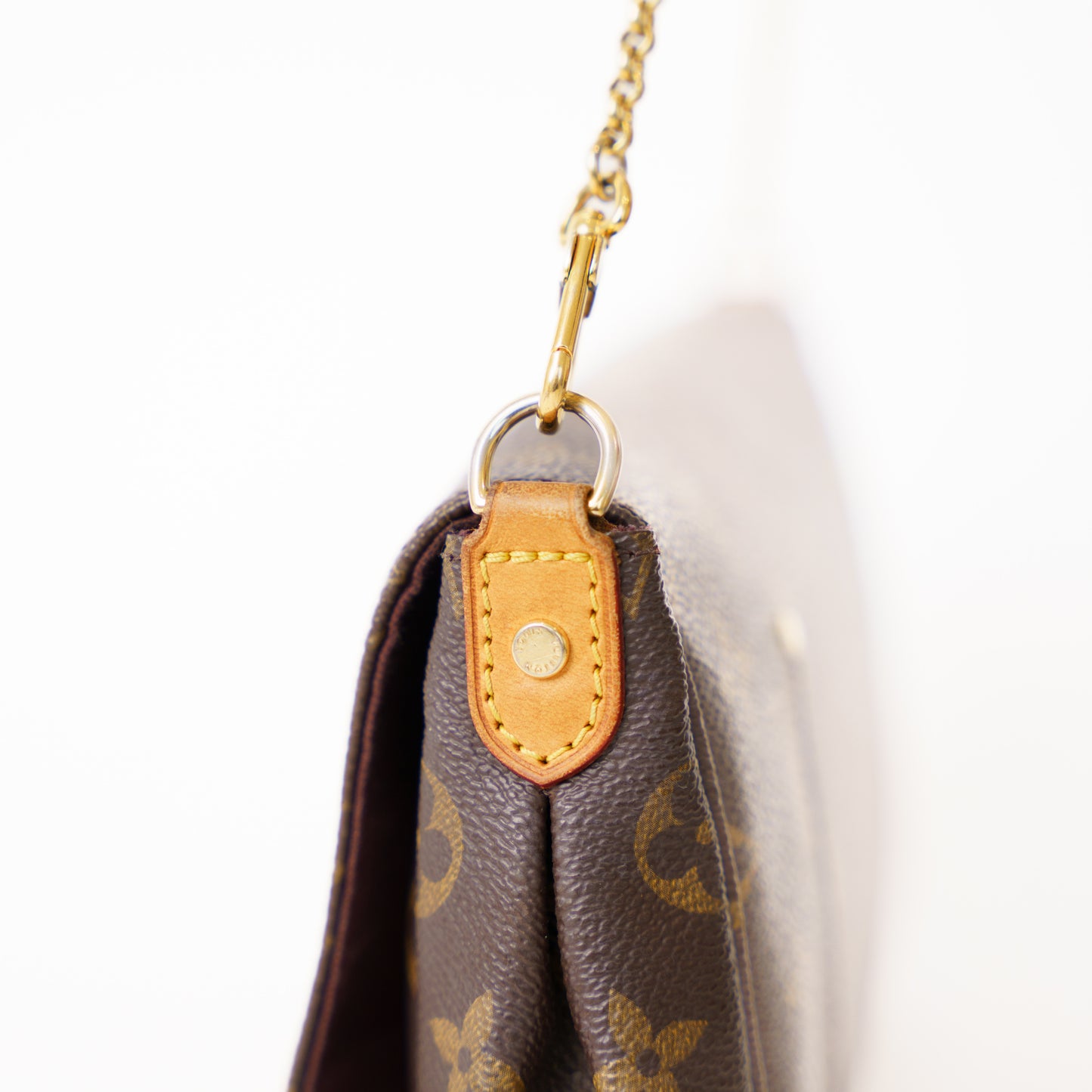 Louis Vuitton Monogram Favorite MM Monogram