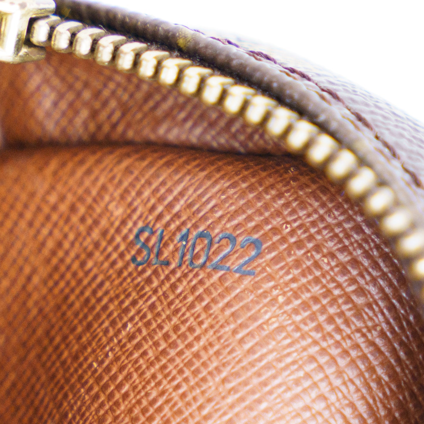 Louis Vuitton Danube Pm Crossbody in Monogram 110336P15