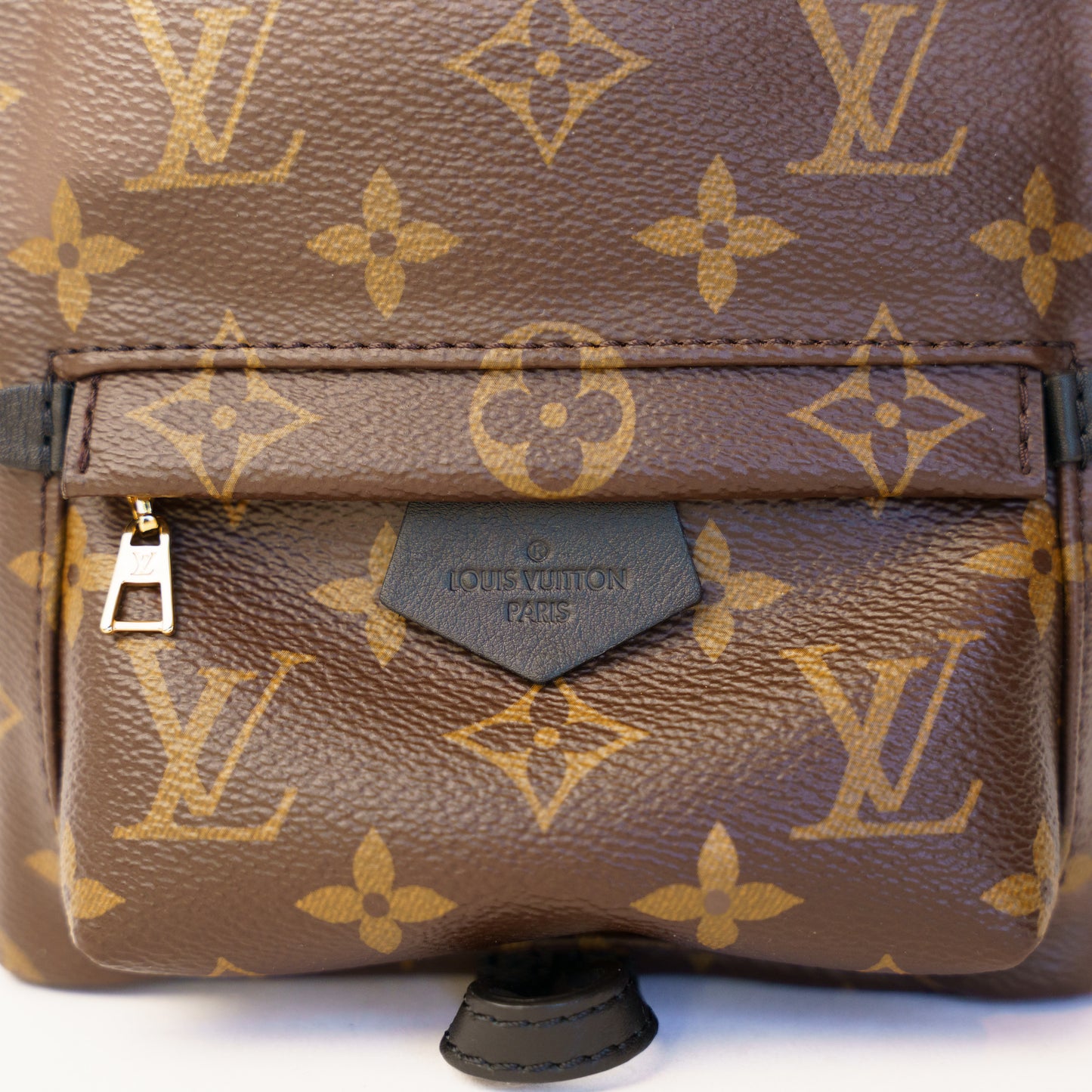 Louis Vuitton Palm Springs Mini Backpack