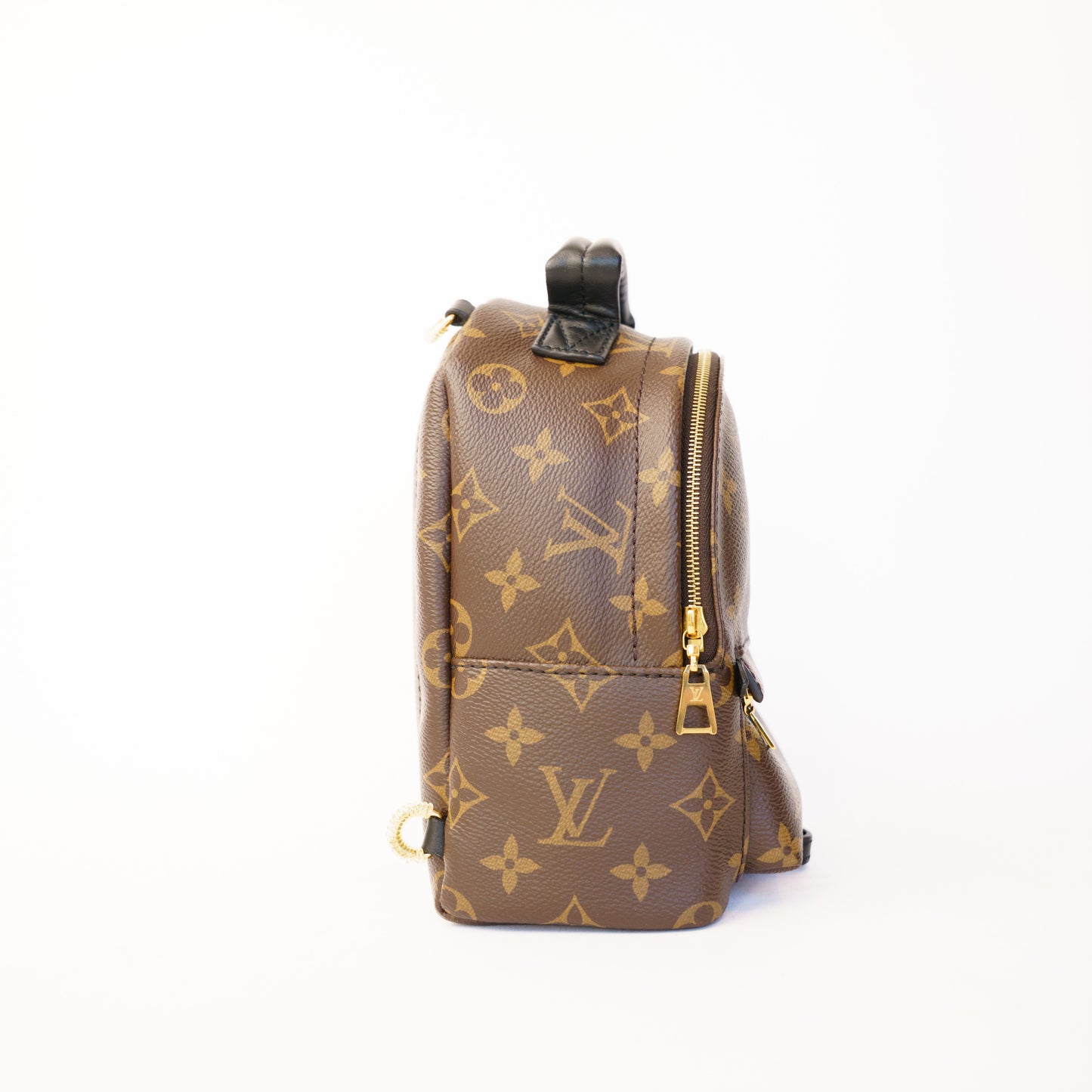 Louis Vuitton Palm Springs Mini Backpack