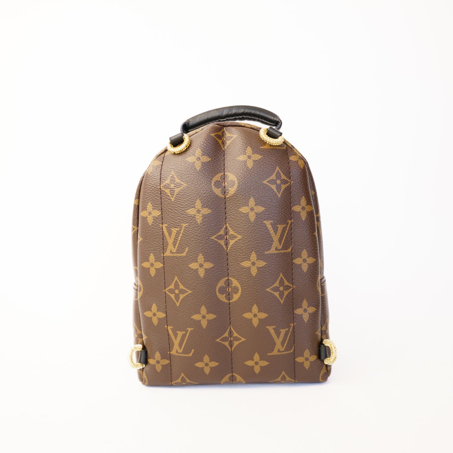Louis Vuitton Palm Springs Mini Backpack