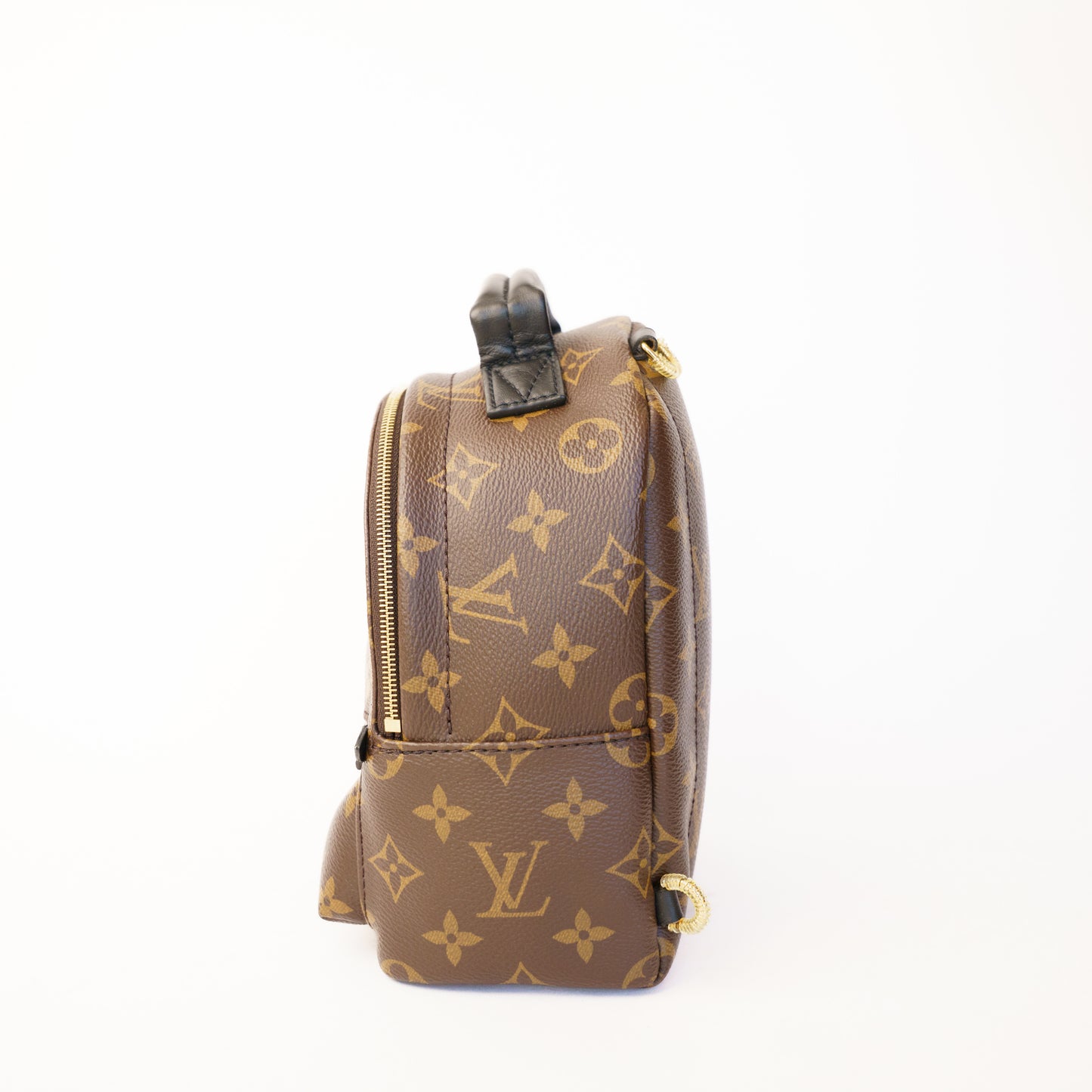 Louis Vuitton Palm Springs Mini Backpack