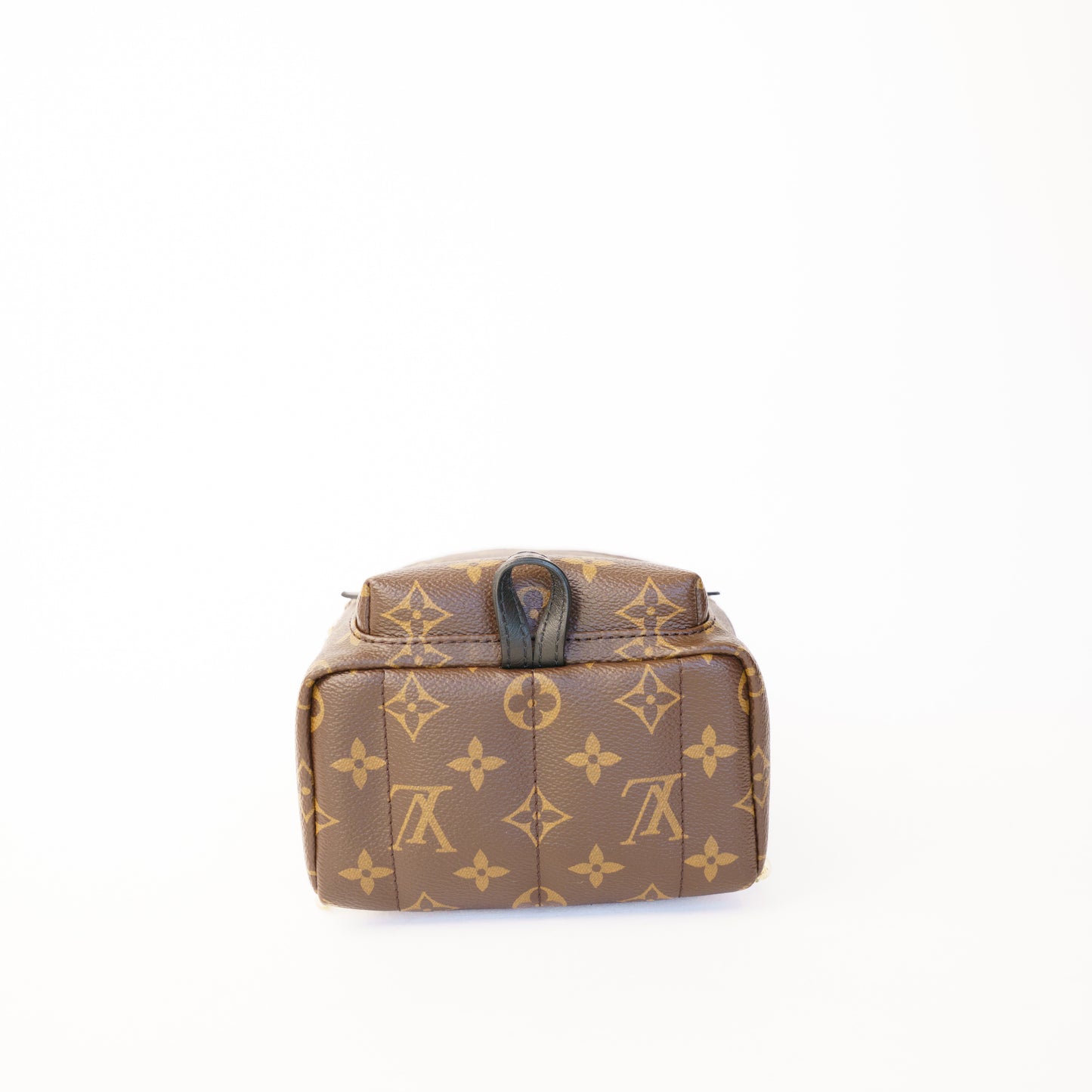 Louis Vuitton Palm Springs Mini Backpack