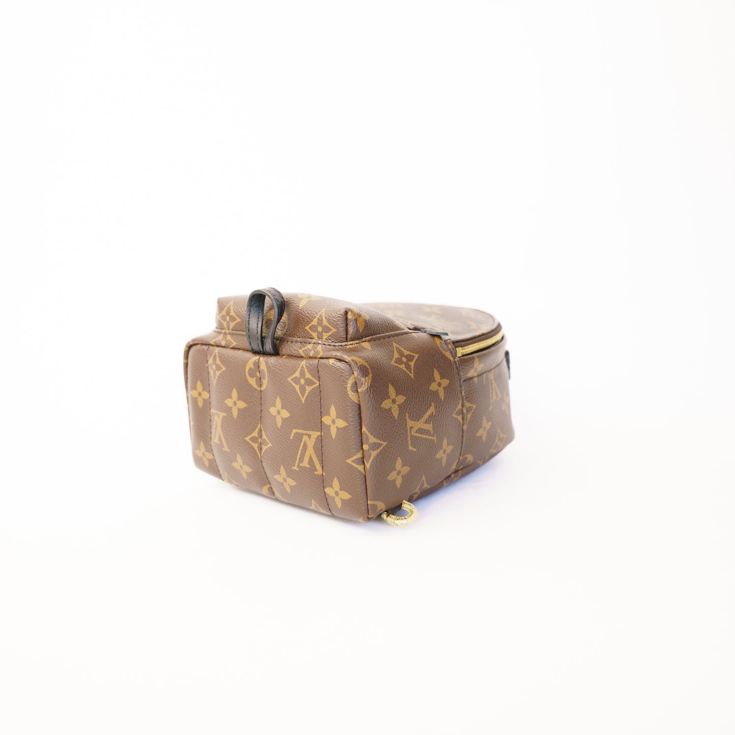 Louis Vuitton Palm Springs Mini Backpack