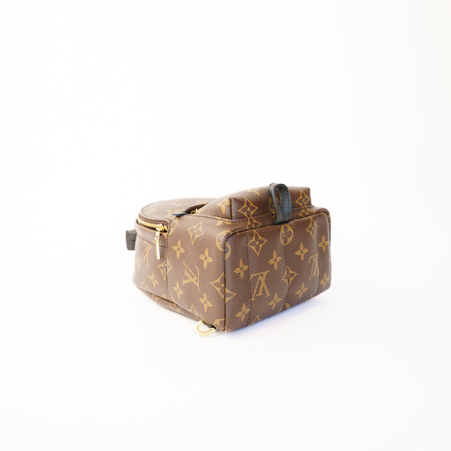 Louis Vuitton Palm Springs Mini Backpack