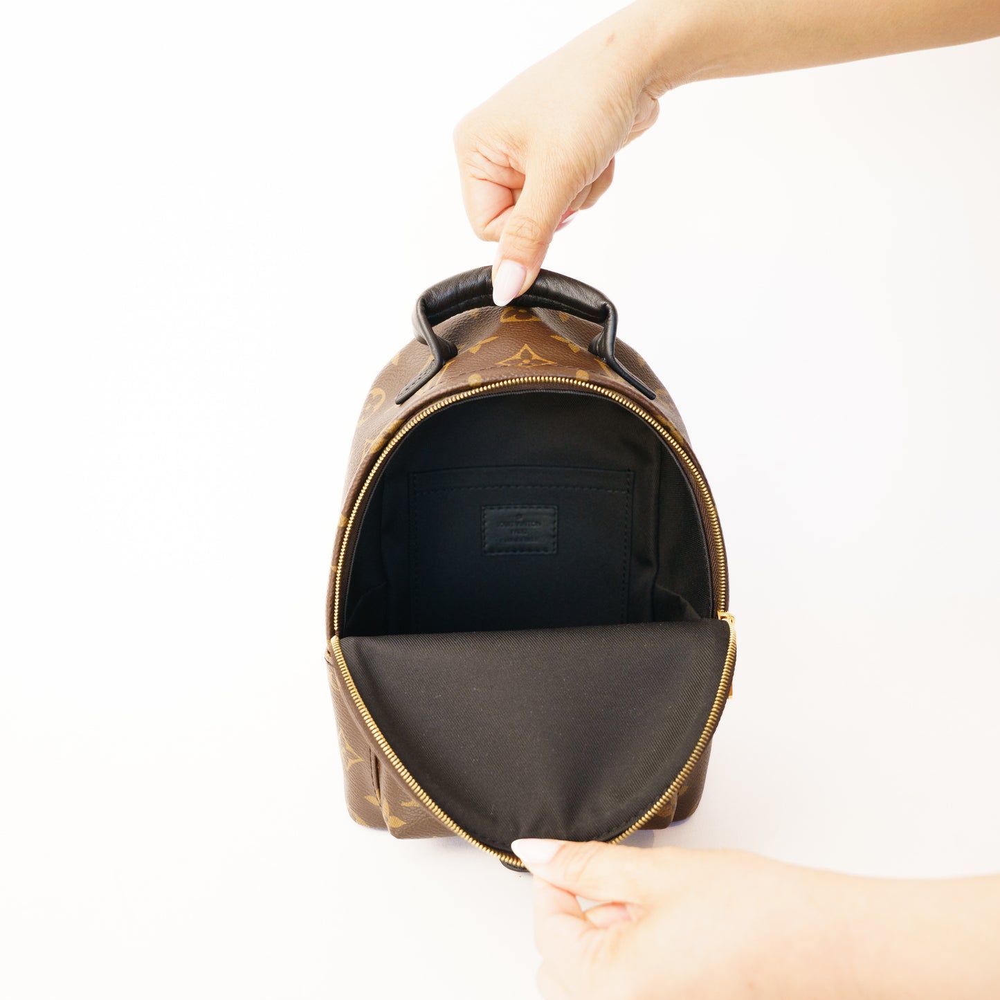 Louis Vuitton Palm Springs Mini Backpack