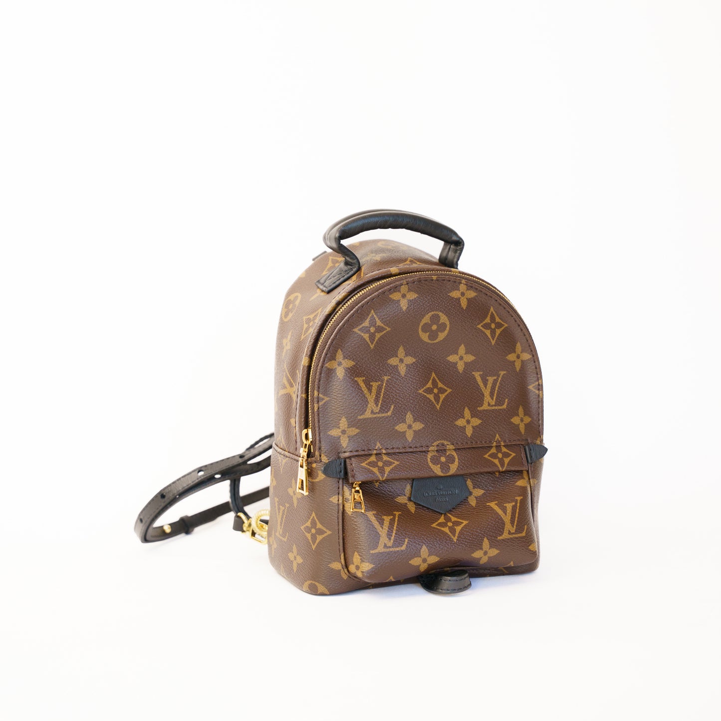 Louis Vuitton Palm Springs Mini Backpack
