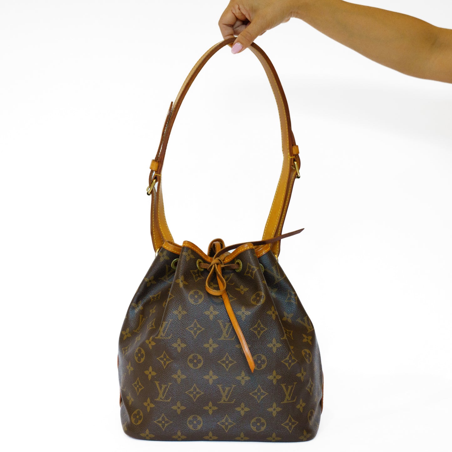 Louis Vuitton Noe Petite PM Bucket Box in Monogram Canvas 271125B16